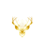 The SoulPreneurs